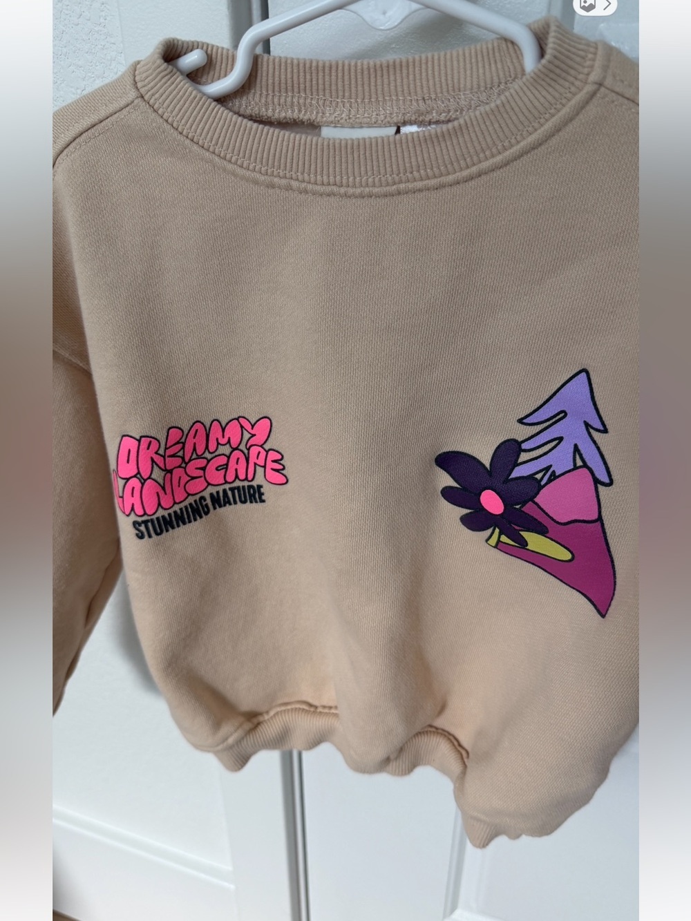 Zara Toddler Girl Dreamy Landscape Sweatshirt 4T - Picture 3 of 5